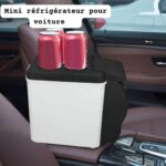 Mini refrigerateur pour voiture